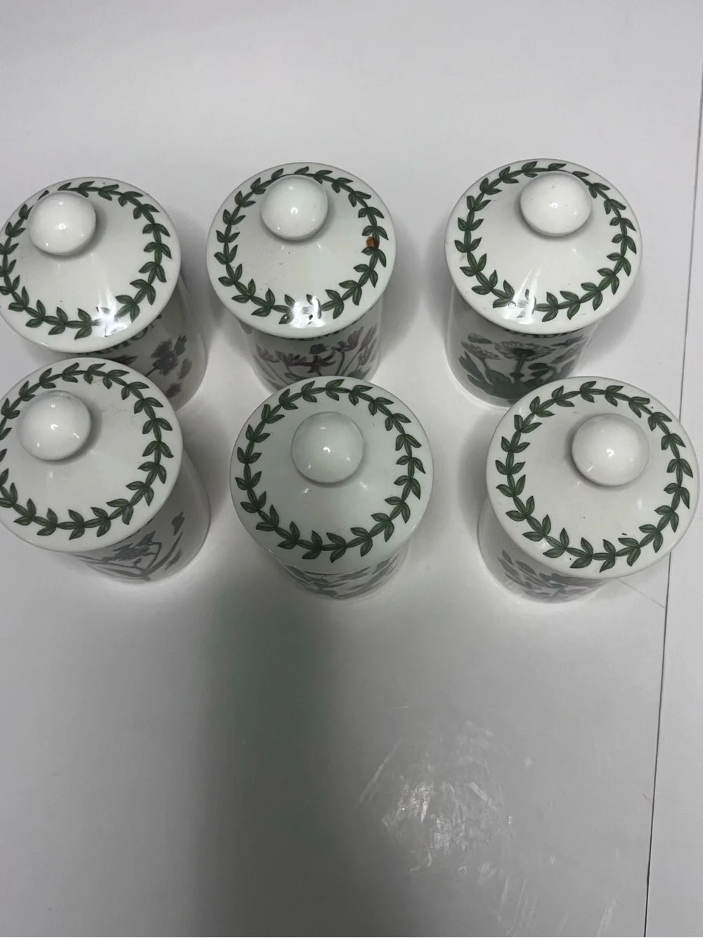 Portmeirion Botanical Herb Porcelain Spice Jars in White and Green